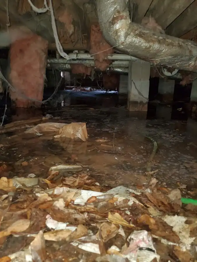 Crawl space flood assessment for Leak Detection & Repair in Waconia