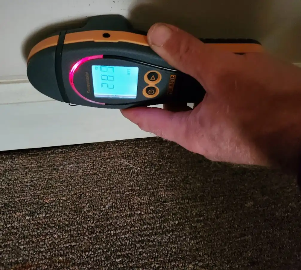 Moisture detection at baseboard during Sewage Cleanup & Sanitation in Waconia